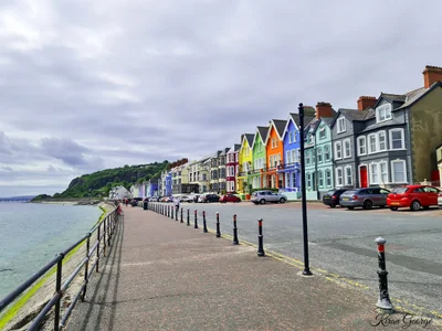 Whitehead - Photo 3