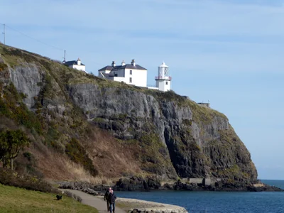 Whitehead - Photo 4
