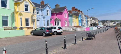 Whitehead - Photo 5