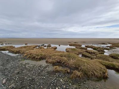Bardsea - Photo 4