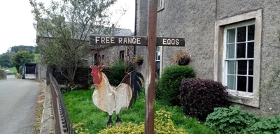 Ribble Valley - Photo 4