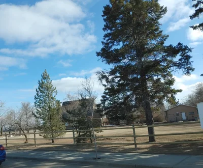 Town of Gibbons - Photo 4