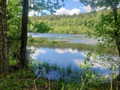 Mrągowo - Photo 4