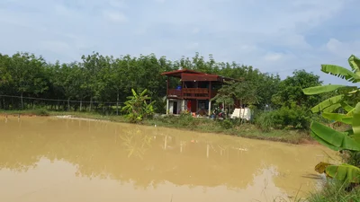 Ban Phue - Photo 4