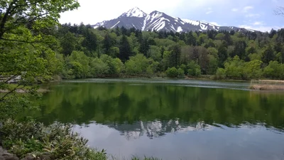 Rishirifuji - Photo 4