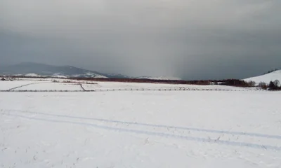 Онгуренское сельское поселение - Photo 5