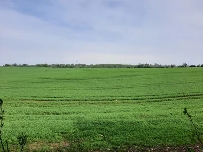 County Westmeath - Photo 2