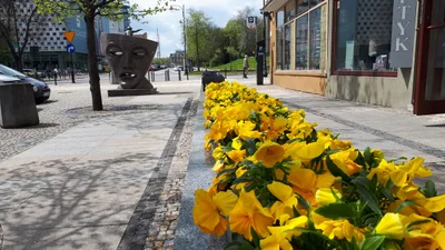 Białystok - Photo 4