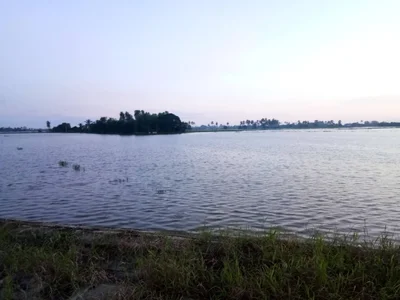 Bang Pla Ma - Photo 2