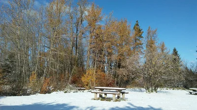 Alder Flats - Photo 2