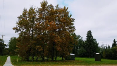 Alder Flats - Photo 3