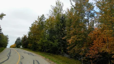 Alder Flats - Photo 5