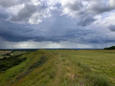 Melton - Photo 4