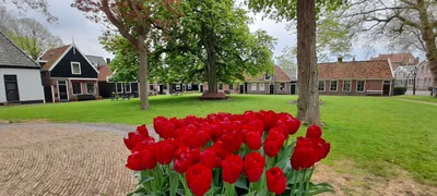 Middenbeemster - Photo 3