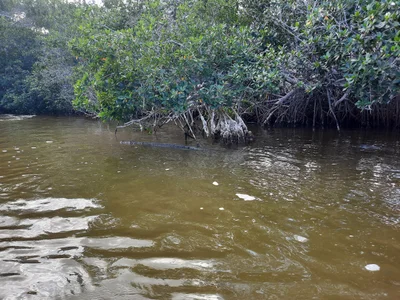Yucatan - Photo 2