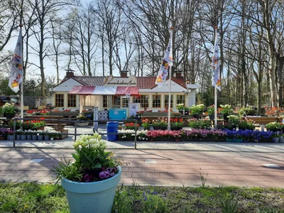 Wassenaar - Photo 3