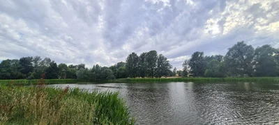 Babergh - Photo 5