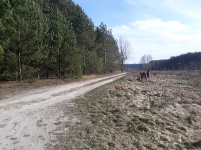 Zielona Góra - Photo 2