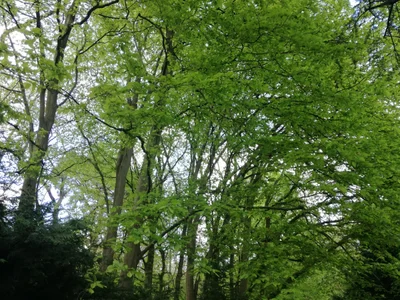 Welwyn Hatfield - Photo 2