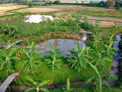 Phibun Mangsahan - Photo 2