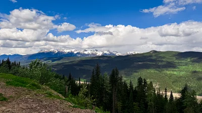 Area A (Kicking Horse/Kinbasket Lake) - Photo 4