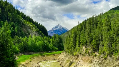 Area A (Kicking Horse/Kinbasket Lake) - Photo 5