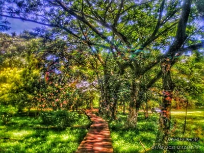 Kota Marudu - Photo 5