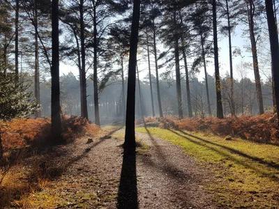 Bracknell - Photo 5