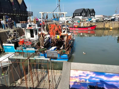 Whitstable - Photo 5