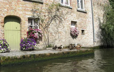 Brugge - Photo 2