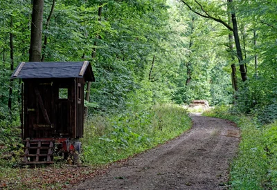 Gutsbezirk Kaufunger Wald - Photo 3