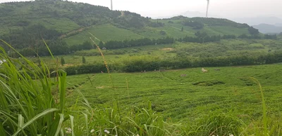 Dongyang - Photo 4