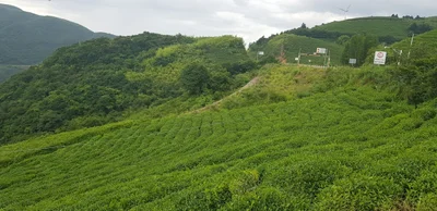 Dongyang - Photo 5