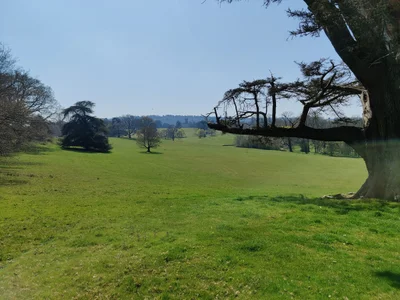 Basingstoke and Deane - Photo 3