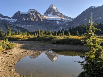 Area G (Forster Creek/Mount Assiniboine) - Photo 3