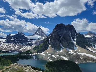 Area G (Forster Creek/Mount Assiniboine) - Photo 5