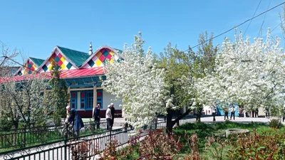 Karakol - Photo 2
