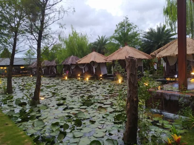 Pingtung - Photo 2