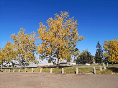 County of Newell - Photo 2