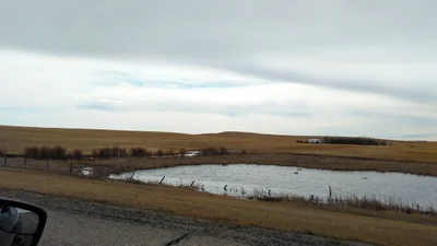 County of Newell - Photo 4