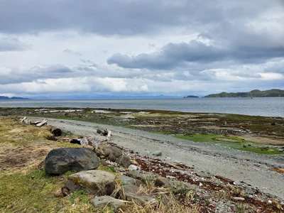 Port Hardy - Photo 2