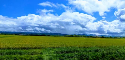 Shintotsukawa - Photo 5