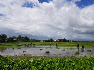 Lubao - Photo 5