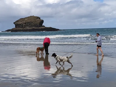 Portreath - Photo 2