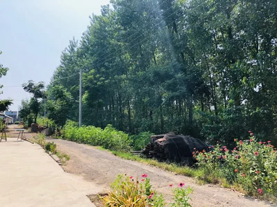 Yueyang - Photo 2