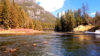 Area E (Saint Mary/Skookumchuck) - Photo 5