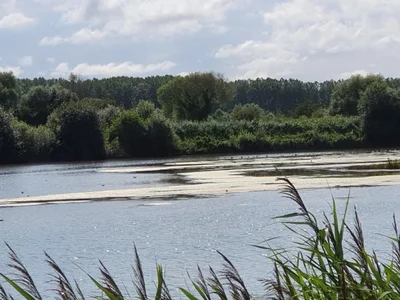 Grand-Laviers - Photo 3