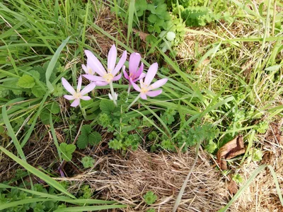 Sosberg - Photo 2