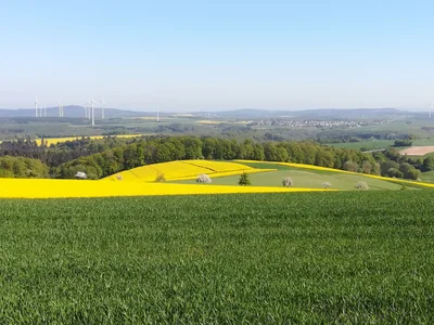 Sosberg - Photo 3