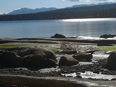 Courtenay - Photo 4